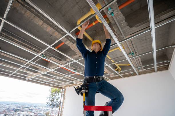 Best Residential Plumbing Services  in Country Squire Lakes, IN